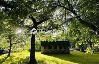 Eladó Budapest XV. kerületi panel lakás hirdetés (33479881)