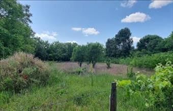 Eladó Helvéciai egyéb telek hirdetés (86322358)