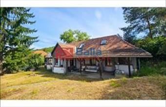 Eladó Alsópetényi családi ház hirdetés (54987363)