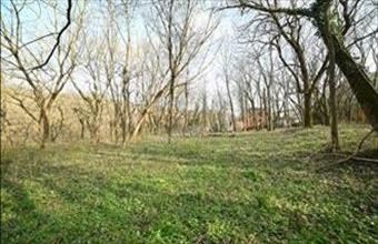 Eladó Budapest II. kerületi egyéb telek hirdetés (47293793)