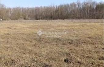 Eladó Kecskeméti külterületi telek hirdetés (88939439)