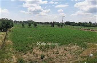 Eladó Gyulai lakóövezeti telek hirdetés (79221548)