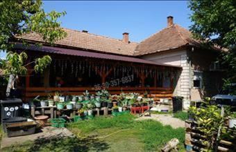 Eladó Tömörkényi családi ház hirdetés (73983232)