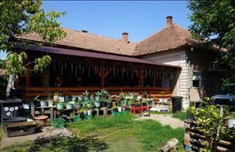 Eladó Tömörkényi családi ház hirdetés (73983232)
