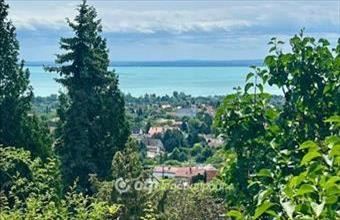 Eladó Csopaki hétvégi ház hirdetés (72742827)