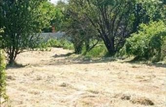 Eladó Tiszanánai egyéb mezőgazdasági ingatlan hirdetés (54783414)