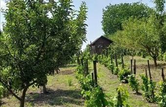 Eladó Kulcsi hétvégi ház hirdetés (29857731)