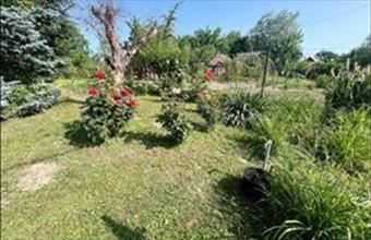 Eladó Dömsödi hétvégi ház hirdetés (87855949)