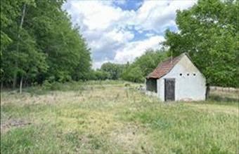 Eladó Kiskunhalasi egyéb mezőgazdasági ingatlan hirdetés (38547339)