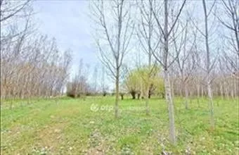 Eladó Nagykőrösi külterületi telek hirdetés (32483773) Eladó Nagykőrösi külterületi telek hirdetés (32483773)
