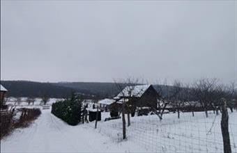 Eladó Alsópetényi egyéb mezőgazdasági ingatlan hirdetés (83264993)