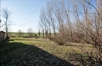 Eladó Csávolyi lakóövezeti telek hirdetés (85337794) Eladó Csávolyi lakóövezeti telek hirdetés (85337794)