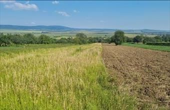 Eladó Töki egyéb telek hirdetés (53516993)