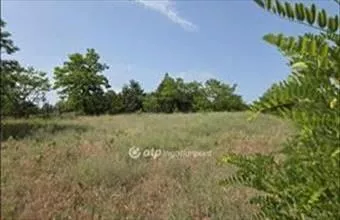 Eladó Turai külterületi telek hirdetés (94125333) Eladó Turai külterületi telek hirdetés (94125333)