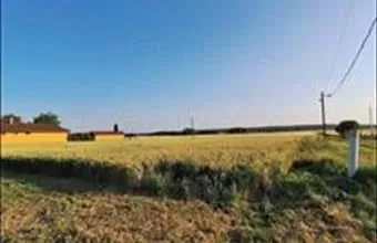 Eladó Balatonszabadi lakóövezeti telek hirdetés (34942717) Eladó Balatonszabadi lakóövezeti telek hirdetés (34942717)
