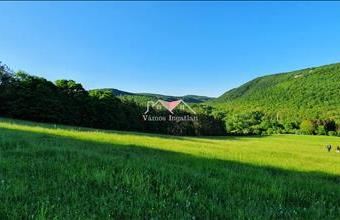 Eladó Szokolyai egyéb telek hirdetés (93338173)