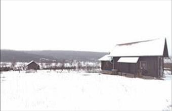 Eladó Alsópetényi hétvégi ház hirdetés (35754218)