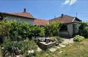 Eladó Mezőkovácsházai családi ház hirdetés (34799324) Eladó Mezőkovácsházai családi ház hirdetés (34799324)