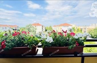 Eladó Kecskeméti panel lakás hirdetés (16223847)