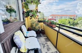 Eladó Kecskeméti panel lakás hirdetés (74697347)