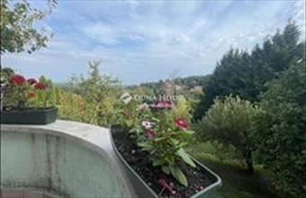 Eladó Tahitótfalui családi ház hirdetés (73637434)