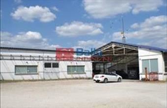 Eladó Dömsödi egyéb üzlethelyiség hirdetés (63477433)