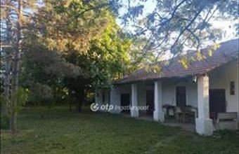 Eladó Tiszaszőlősi családi ház hirdetés (47391385)