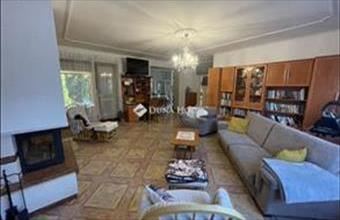 Eladó Ráckevei családi ház hirdetés (99395885)