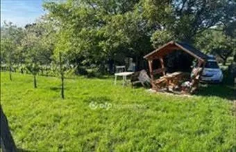 Eladó Raposkai külterületi telek hirdetés (53734499) Eladó Raposkai külterületi telek hirdetés (53734499)