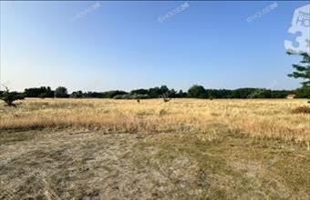 Eladó Ballószögi külterületi telek hirdetés (26362136)