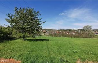 Eladó Budakeszi egyéb telek hirdetés (36527329)