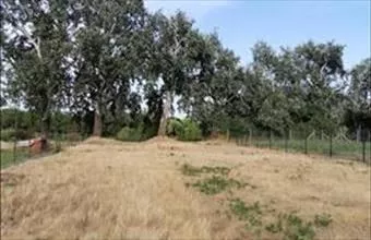 Eladó Szigetcsépi lakóövezeti telek hirdetés (33797184)