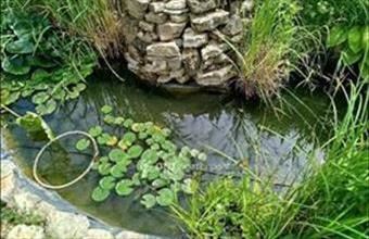 Eladó Pécsi családi ház hirdetés (45725427)