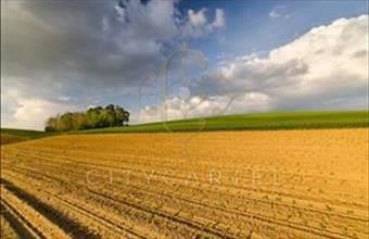 Eladó Budapest XI. kerületi termőföld, szántó hirdetés (74739799)