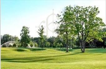 Eladó Alapi lakóövezeti telek hirdetés (19445354)