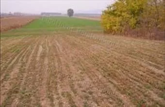 Eladó Balatonkeresztúri zártkert hirdetés (77331417) Eladó Balatonkeresztúri zártkert hirdetés (77331417)