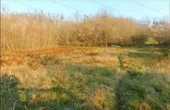 Eladó Szőlősgyöröki lakóövezeti telek hirdetés (43134868) Eladó Szőlősgyöröki lakóövezeti telek hirdetés (43134868)