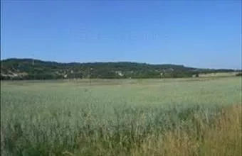 Eladó Sümegi egyéb mezőgazdasági ingatlan hirdetés (47644432) Eladó Sümegi egyéb mezőgazdasági ingatlan hirdetés (47644432)