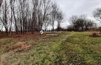 Eladó Tóalmási családi ház hirdetés (59194459)