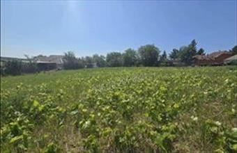 Eladó Kosdi egyéb telek hirdetés (99933484)