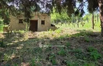 Eladó Tapolcai egyéb mezőgazdasági ingatlan hirdetés (83746373) Eladó Tapolcai egyéb mezőgazdasági ingatlan hirdetés (83746373)