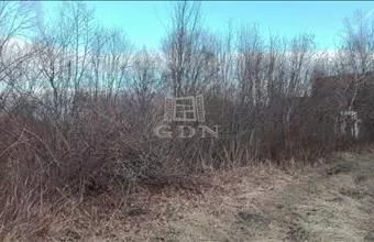 Eladó Ráckevei üdülőövezeti telek hirdetés (96396257) Eladó Ráckevei üdülőövezeti telek hirdetés (96396257)