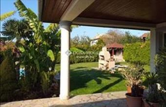 Eladó Kulcsi családi ház hirdetés (45887722)