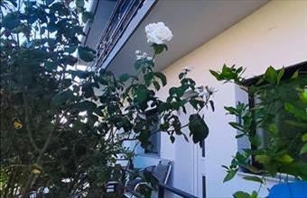 Eladó Hévízi egyéb lakás hirdetés (42534442)