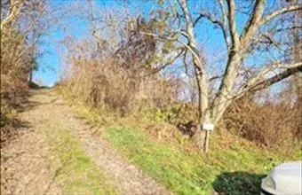 Eladó Zalabéri lakóövezeti telek hirdetés (88734777) Eladó Zalabéri lakóövezeti telek hirdetés (88734777)