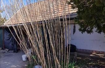 Eladó Albertirsai családi ház hirdetés (28253843)