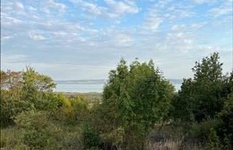 Eladó Vászolyi termőföld, szántó hirdetés (29973692)