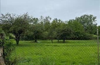 Eladó Bálványosi egyéb telek hirdetés (27395234)