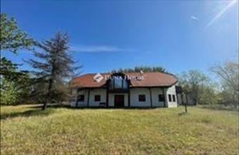 Eladó Kerekegyházai tanya hirdetés (55357553)