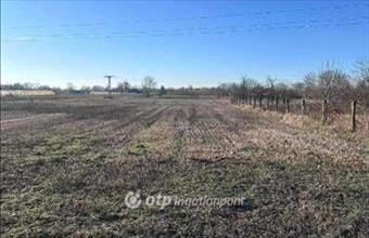 Eladó Kecskeméti egyéb mezőgazdasági ingatlan hirdetés (79692557)